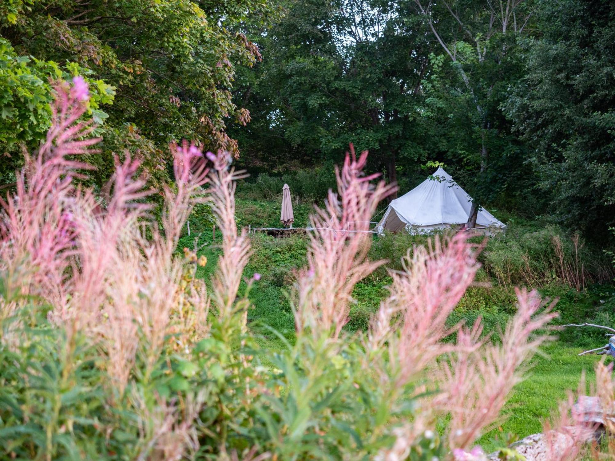 Mereaeaere Glamping Ja Rannamaja Liimala Exterior photo