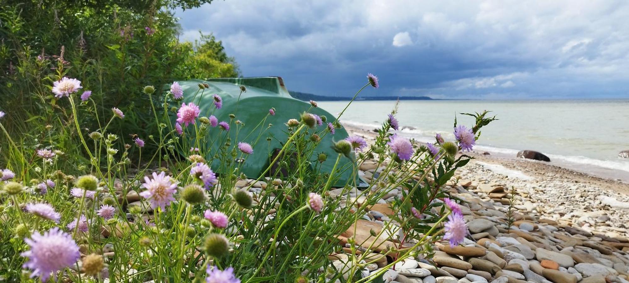 Mereaeaere Glamping Ja Rannamaja Liimala Exterior photo